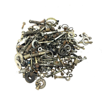 1993 Polaris Trail Boss 250 4X4 OEM Nut Bolt Spacer Hardware Kit AP231