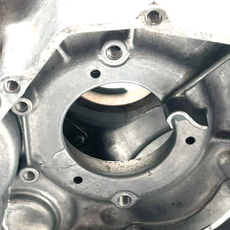 1996 Yamaha Big Bear 350 YFM350FW 4x4 OEM Crankcase 1YW-15100-07-00 AY55