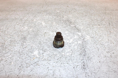 1993 Honda Trx 300 A Oem Swingarm Pivot Bolt 90121-HC4-000 90121-HM5-930 AH50
