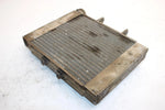 2003 Can-am Rally 200 Oem Coolant Radiator 709200090 AB11