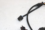 06 Polaris Edge 600 Touring Oem Taillight Wiring Harness 2461178 SP171