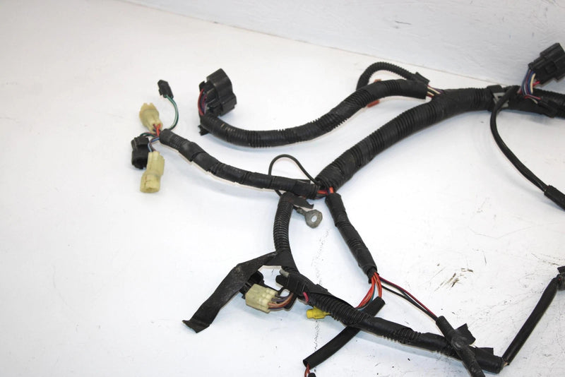 08 Arctic Cat F1000 Sno Pro Efi Oem Main Wire Harness 1686-417 SAS9