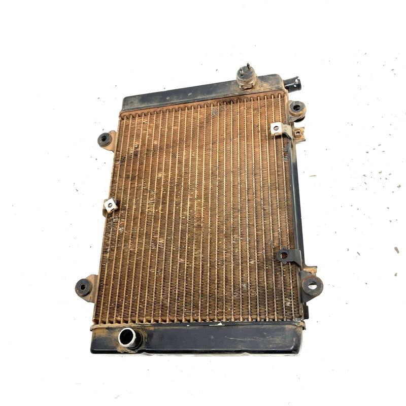 2003 Kawasaki Prairie 650 OEM Radiator 39060-0008 AK37