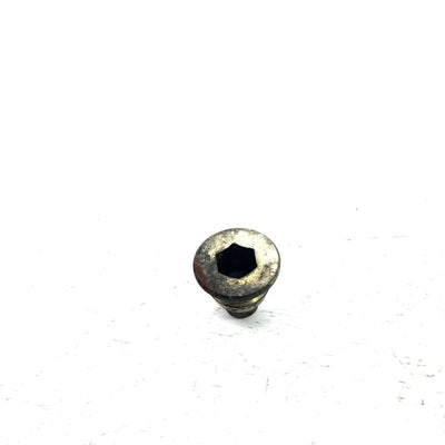 88 Honda FourTrax 300 4x4 OEM Swingarm Pivot Bolt Pair  30122-HM5-930 AH89