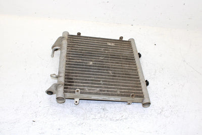 2002 Arctic Cat 375 Automatic (4x4 Green) Oem Radiator 0413-053 AA29