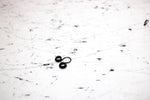 2001 Ski-doo Mxz 800 Oem Slide Arm Link Clip 404161929 Q5837