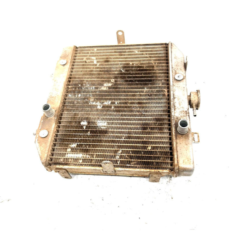 01-04 Honda Foreman Rubicon 500 TRX500FA 4x4 OEM Radiator  19010-HN2-505 AH86