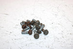 2002 Polaris Sportsman 700 Oem Bolt Set Of 11 3233955 AP184