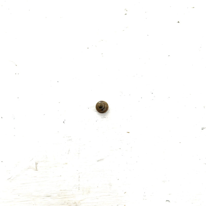 84-87 Suzuki Quadrunner 185 OEM Carb Throttle Stop Screw 13267-24500 AS33