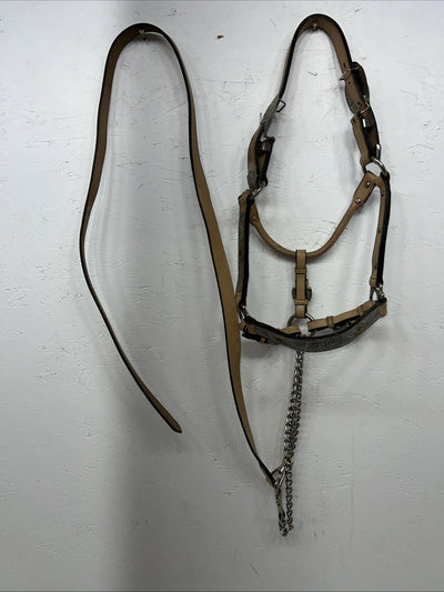 Used Light Oil Genuine Leather Show Halter With Lead Rope Silver Accents W-23
