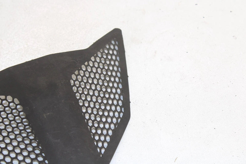 Polaris Oem Center Hood Screen Black 5435838-070 B45