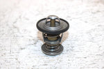 2000 Ski-doo Mxz 600 Oem Thermostat 414834100 420922519 SS0
