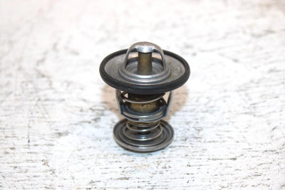 2000 Ski-doo Mxz 600 Oem Thermostat 414834100 420922519 SS0