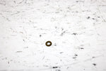 2001 Ski-doo Mxz 800 Oem Slide Arm Washer 404161922 SS19
