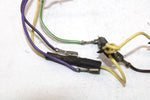 1996 Polaris Xplorer 300 Oem Dash Indicator Light Wire Harness 2460553 AP134