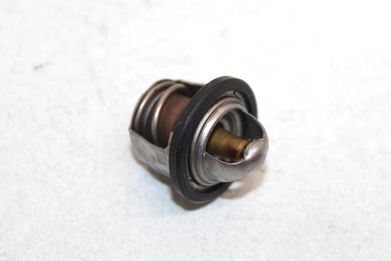 03 Suzuki Vinson 500 Lt-f500f Oem Thermostat 17670-08D10 17670-08D11 AS24