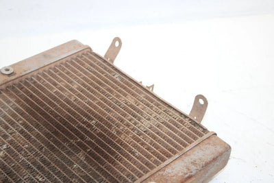 2004 Honda Fourtrax Rincon Oem Radiator 19010-HN8-A61 AH2