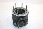 1998 Arctic Cat Ts-l 1000 Oem 81mm Bore Cylinder 3008-506 JA11