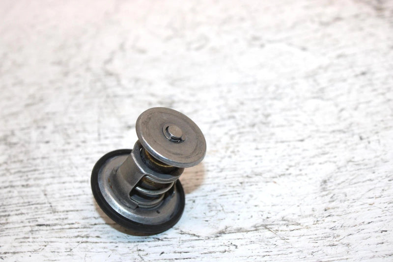 2000 Ski-doo Mxz 600 Oem Thermostat 414834100 420922519 SS0