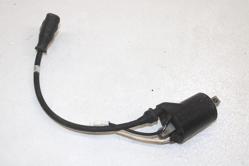 05 Polaris Rmk 900 Oem Ignition Coil MAG 4011105 SP178
