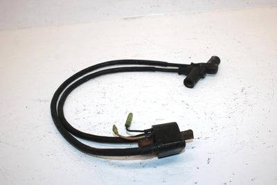 1994 Arctic Cat Wildcat Efi Oem Ignition Coil 3005-185 SA42
