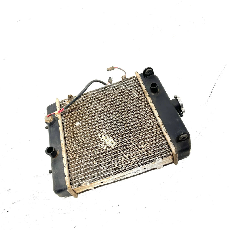 2006 Arctic Cat 650 4x4 V2 Stewart Auto OEM Radiator 0413-184 AA37