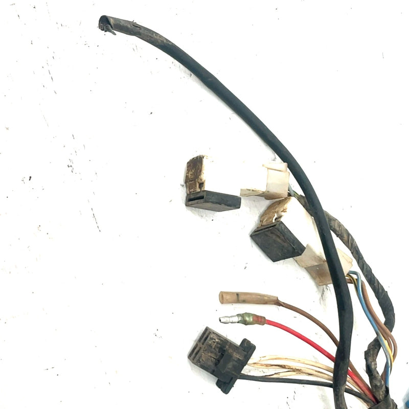 96 Yamaha Big Bear 350 YFM350FW 4x4 OEM Main Wire Harness 3HN-82590-80-00 AY55