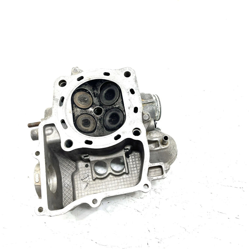 01-09 Honda Foreman Rubicon 500 TRX500 4x4 OEM Cylinder Head 12100-HN2-000 AH87