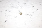 2001 Ski-doo Mxz 800 Oem Carb Needle Spacer 404137600 SS19 