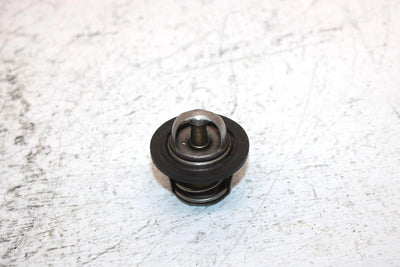 2002 Polaris Sportsman 700 Oem Thermostat 7052308 AP184