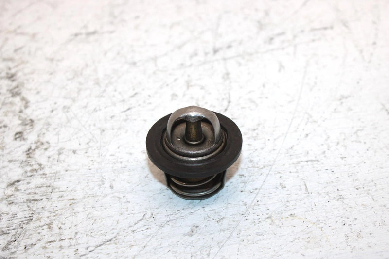 2002 Polaris Sportsman 700 Oem Thermostat 7052308 AP184