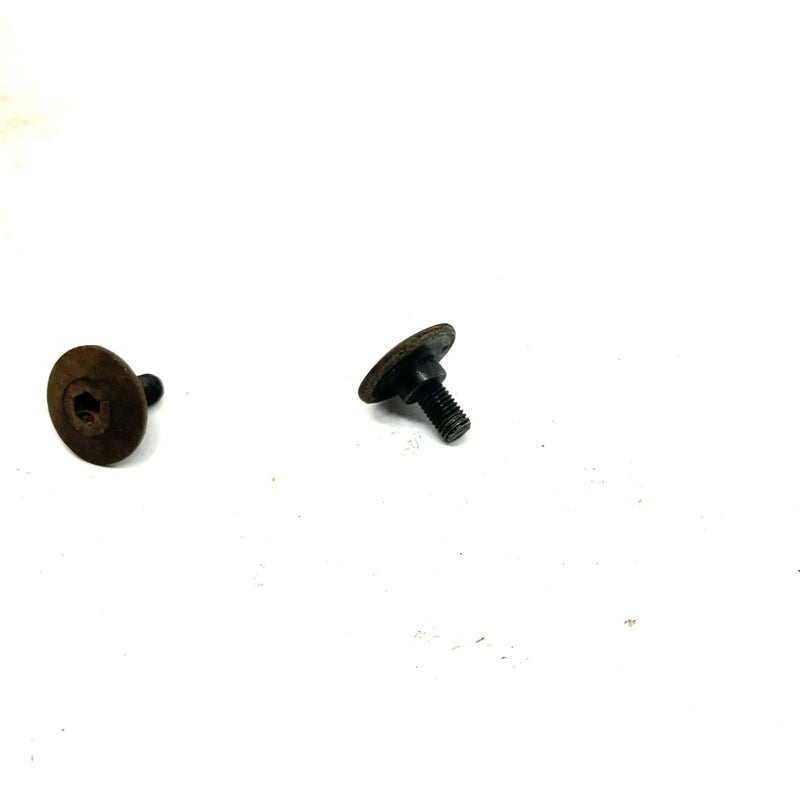 07 Arctic Cat 700 4x4 Automatic EFI OEM Valve Cover Bolt Pair 3423-646 AA33