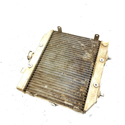 01-04 Honda Foreman Rubicon 500 TRX500 OEM Radiator 19010-HN2-505 AH79