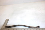 06 Can-am Outlander 400 Oem Cam Chain 420297060 420297063 AB0