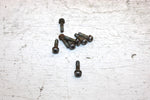 1995 Arctic Cat Z 440 Oem Float Bowl Screw Set Of 8 6505-014 SA13