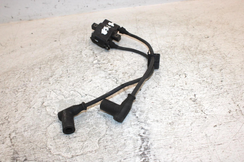 2001 Polaris 800 Le Oem Ignition Coil 4060229 4016199 SP22