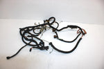 1999 Polaris Xplorer 400 Oem Main Wire Harness 2460704 AP149