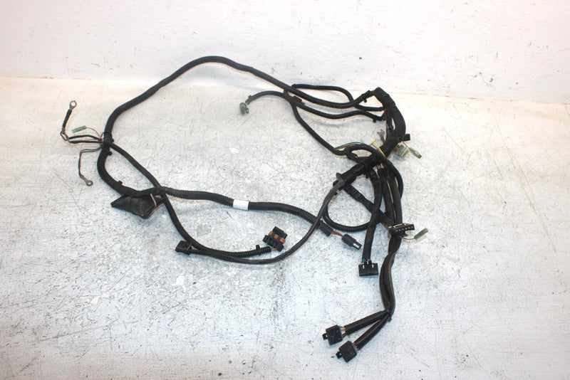 2004 Polaris Trail Boss 330 Oem Main Wire Harness 2461221 AP117