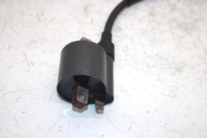 96 Suzuki King Quad 300 Ltf4wdx Oem Ignition Coil 33410-01X50 AS21