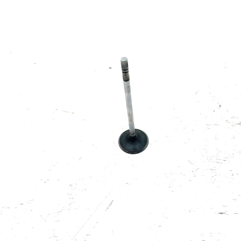 03-04 Polaris Sportsman 600 OEM Intake Valve 5131417 AP234