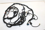 08 Polaris Iq Fst Cruiser Oem Main Wiring Harness  2410925 SP174