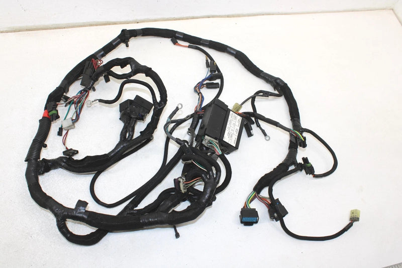 08 Polaris Iq Fst Cruiser Oem Main Wiring Harness  2410925 SP174