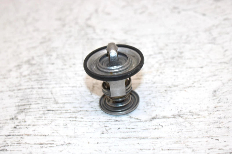2000 Ski-doo Mxz 600 Oem Thermostat 414834100 420922519 SS0