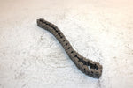 1995 Arctic Cat Z 440 Oem 70P Drive Chain 1602-041 SA13