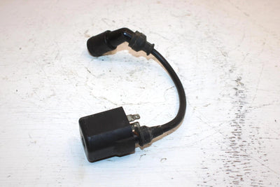 2009 Suzuki Lt-a400f Oem Ignition Coil 33410-41D20 AS26