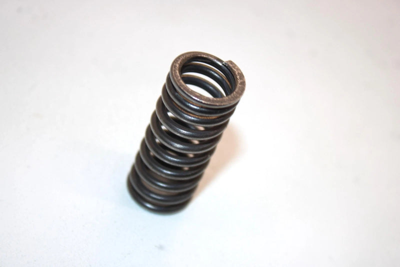 04 Honda Trx250ex A Oem Inner Valve Spring 14761-HN6-000 AHS