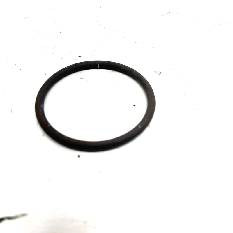 98-03 Sea-Doo GTX OEM Throttle Body O Ring 293250065 JS33