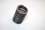 04 Honda Trx250ex A Oem Outer Valve Spring 14751-HN6-000 AHS