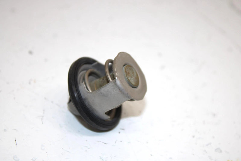 08 Arctic Cat Atv 250 Utility 2x4  Oem Thermostat 3303-755 AA13