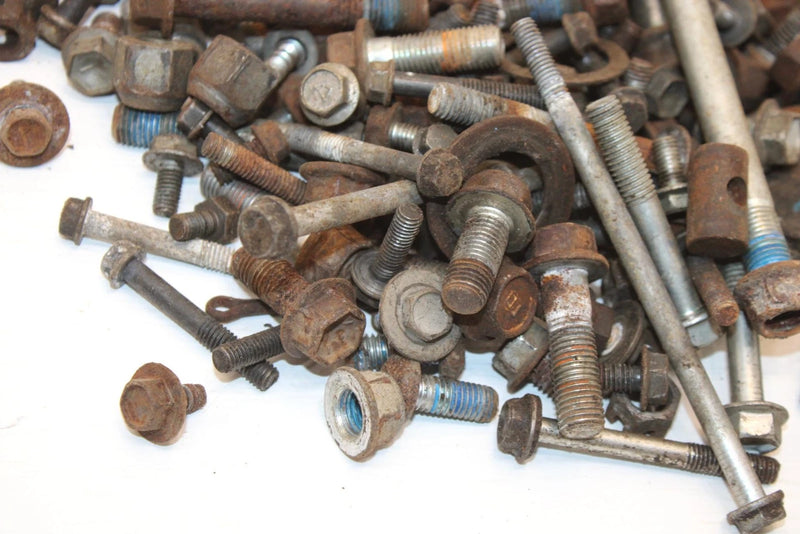 2009 Suzuki Lt-a400f Oem Nut Bolt Spacer Hardware Kit AS26